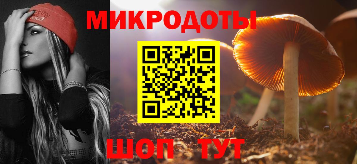 Сегежа  Галлюциногенные грибы мухоморы  Вход с VPN  Галлюциногенные грибы Psilocybe 